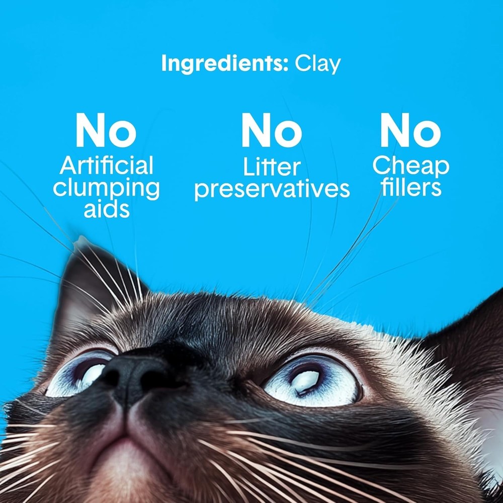 Boxie Unscented Cat Litter 40lb - Odor Control Clumping Clay=
