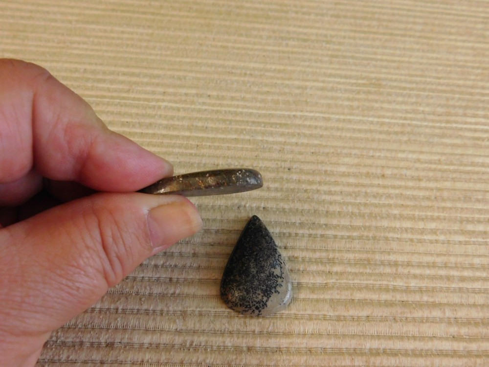 Dinosaur Bone Cabochons - 4 pcs