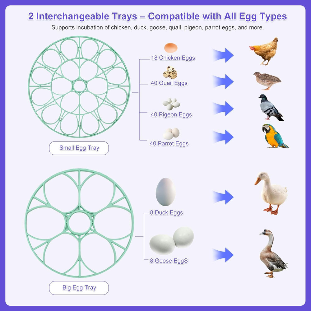 Egg Incubator for Hatching Chicks, Automatic Egg Turner Holds 18 Eggs, Smart Inc