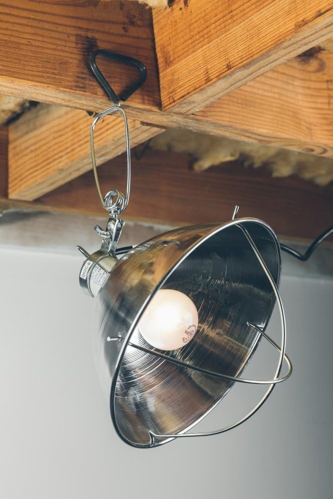 Versatile 300W Clamp Lamp with Reflector & Bulb Guard