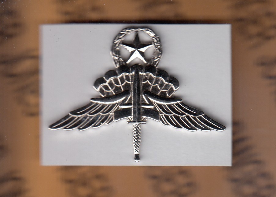 US Master Military Freefall MFF Airborne wing 2" Stabrite qualification badge