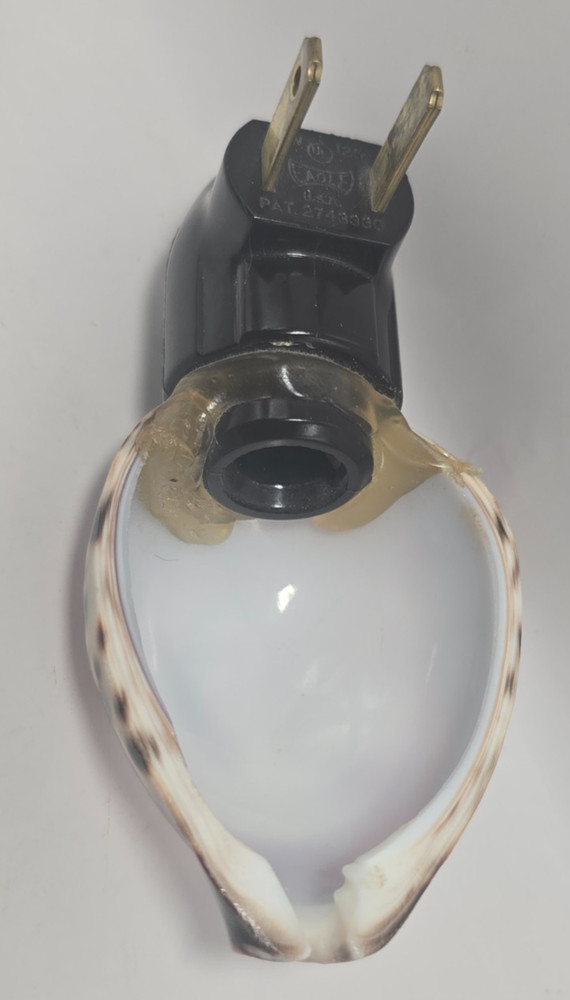 Vintage Etched Cowrie Shell Nightlight Pelicans