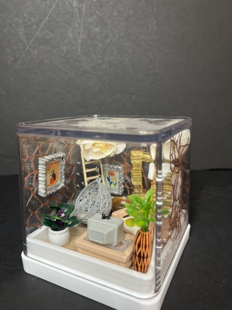 Mini boho living room Jumping Spider Enclosure