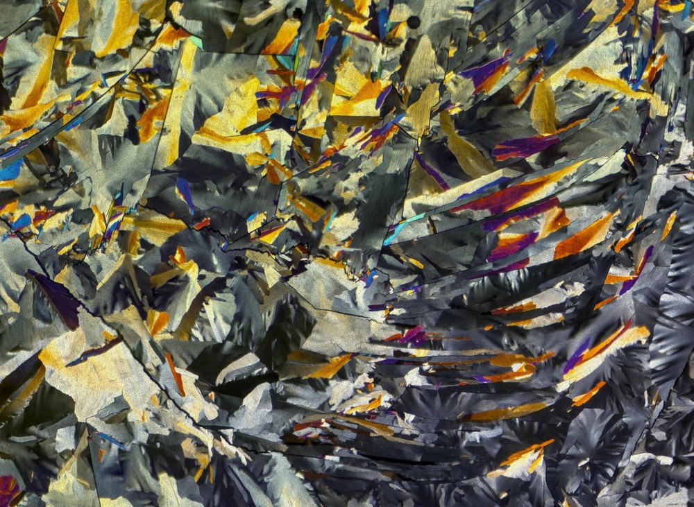 Microscope slide for polarization, GLUTARIC ACID (melt)