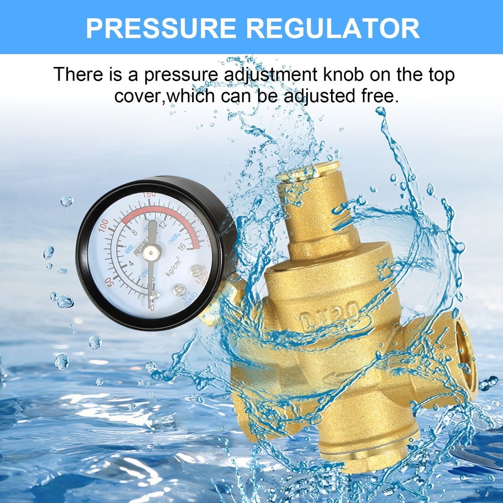 Water Pressure Regulator 3/4 inch with Gauge, Made of 294 cubic centimeters
