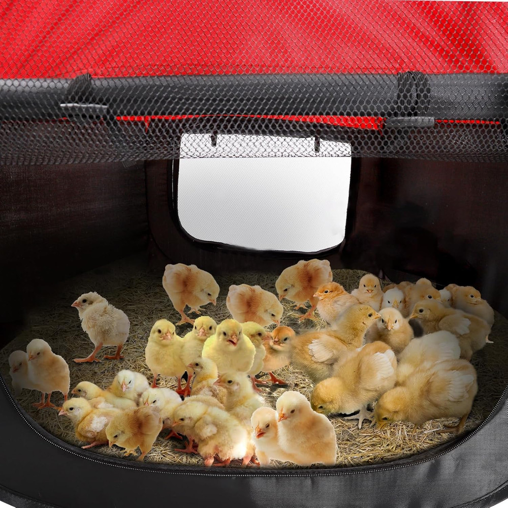 Brooder Box for Chicks - Chicken Brooder Kit with Dual Doors Design Pop-Up Playp