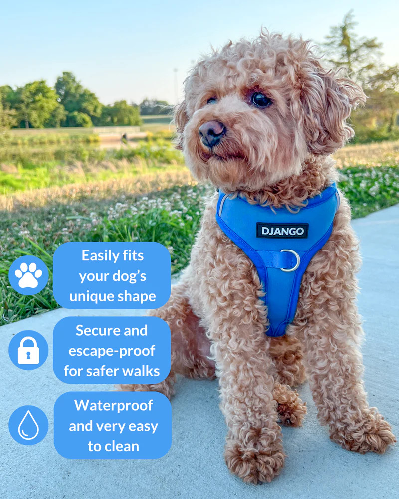 NWT Django Tahoe No Pull Dog Harness - Alpine Blue