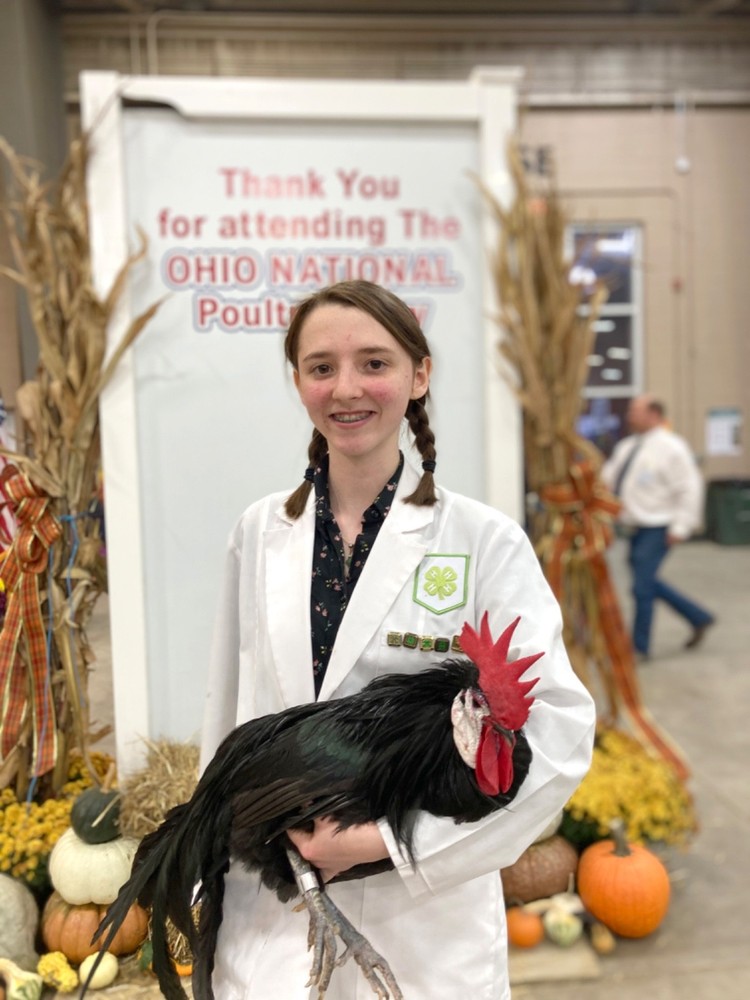 6+ White-Faced Hatching Eggs NPIP-Certified Critically Endangered