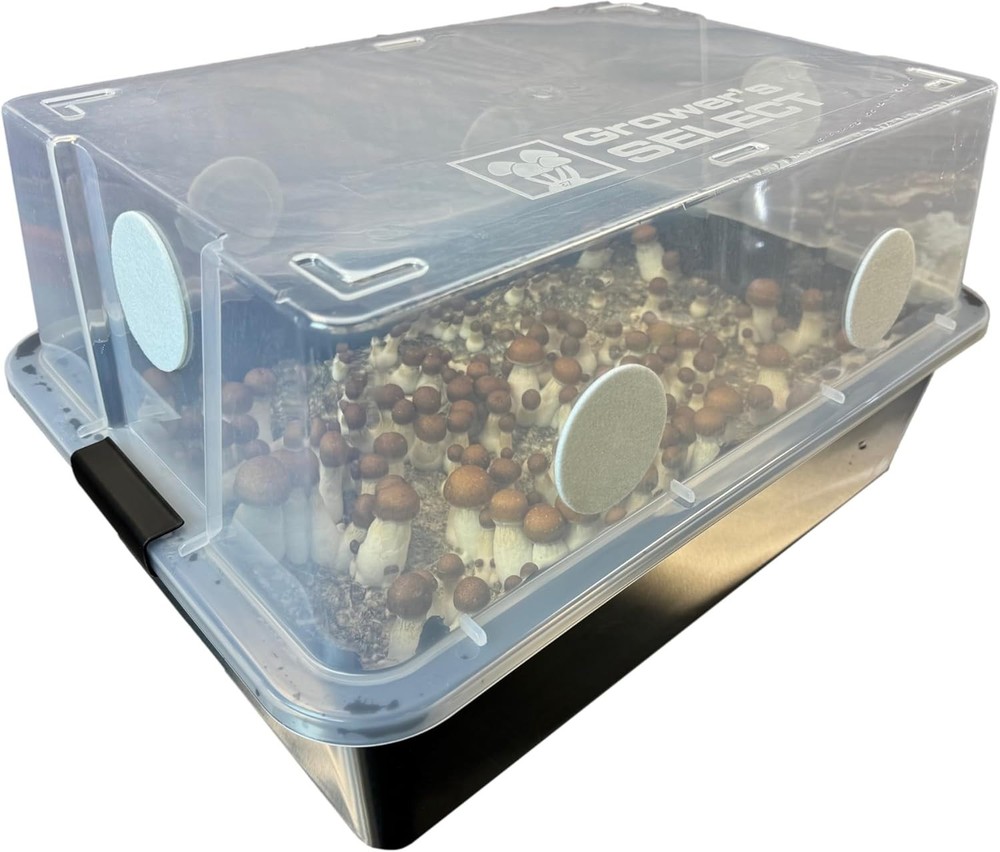 Includes Grain Spawn & Bulk Substrate,Complete Refill Kit for Large 66Q Monotub