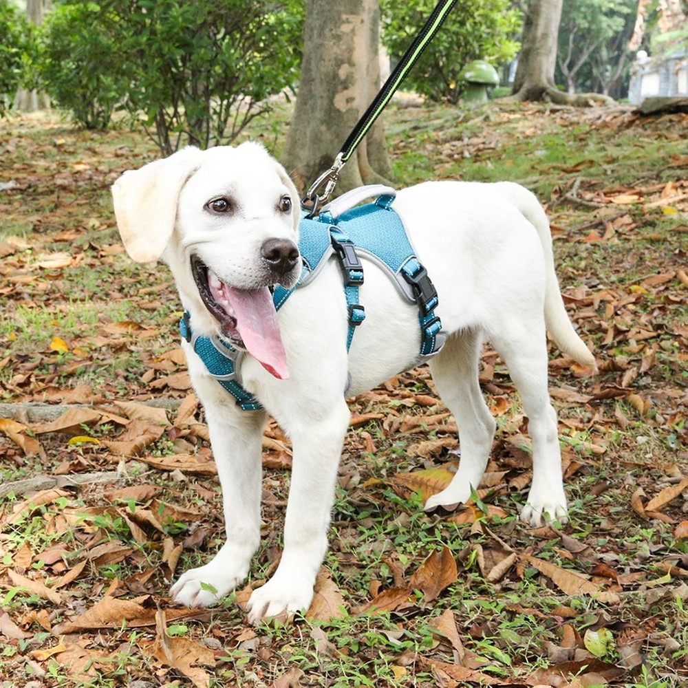 Multi-Use Support Dog Harness, Escape Proof No Pull Reflective Adjustable Ves...