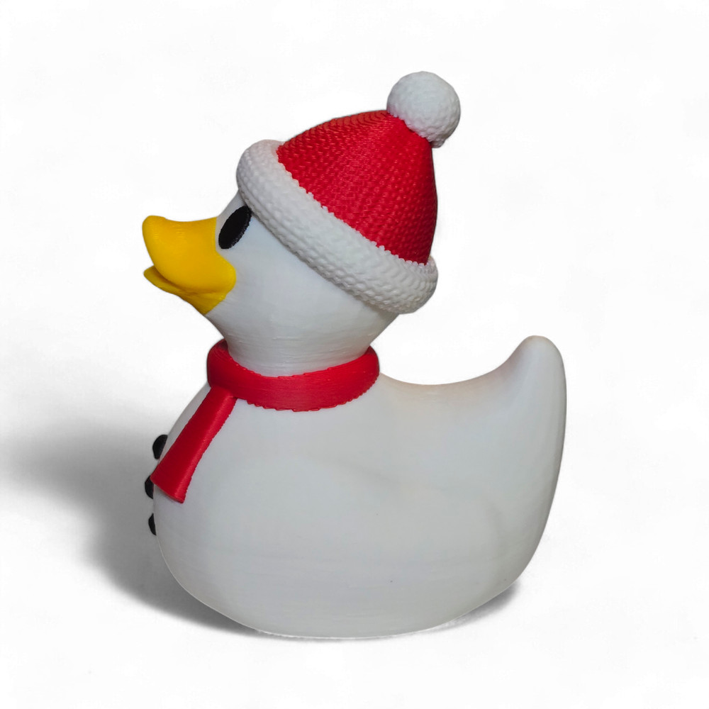 Snow Duck