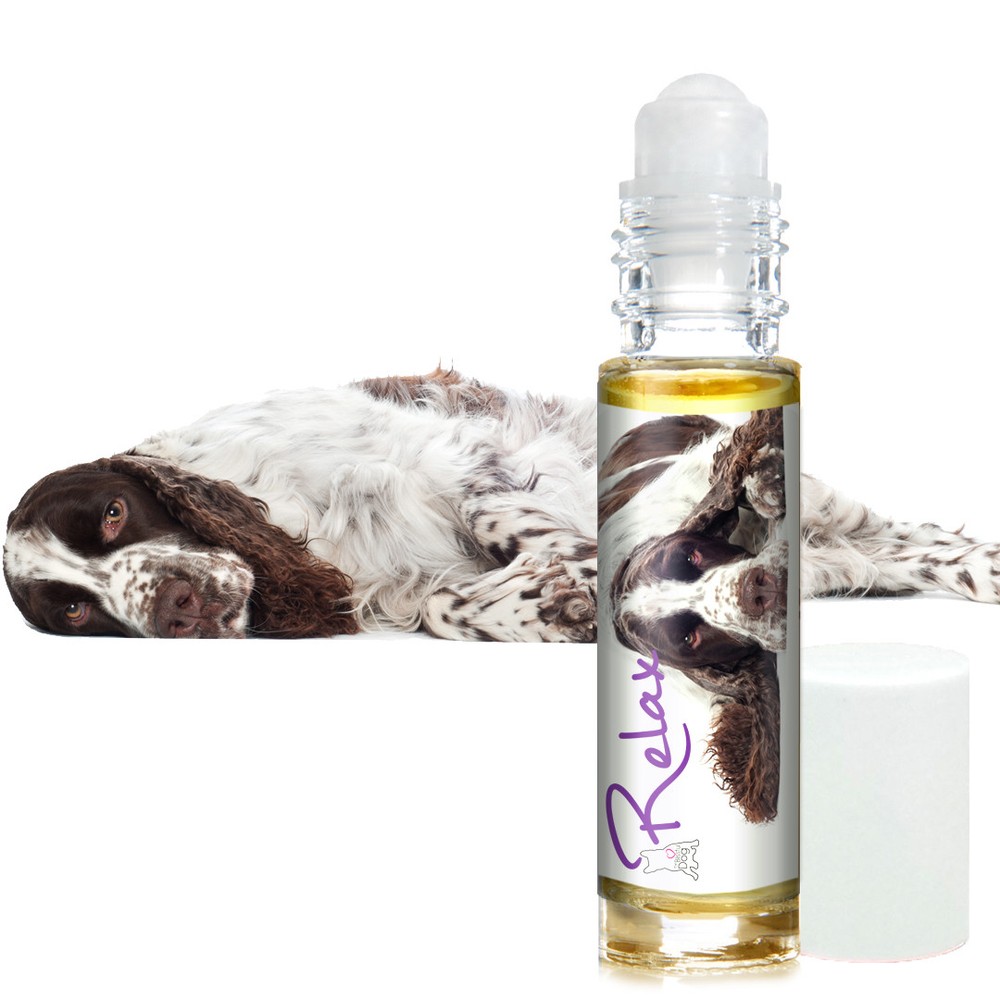 Is Your Springer Spaniel Afraid of Thunder? Fireworks? Try Relax Aromatherapy
