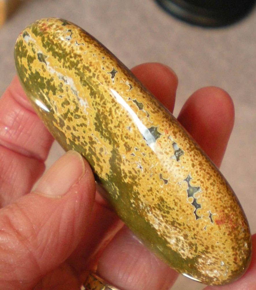 Ocean Jasper Palm Stone sc687r