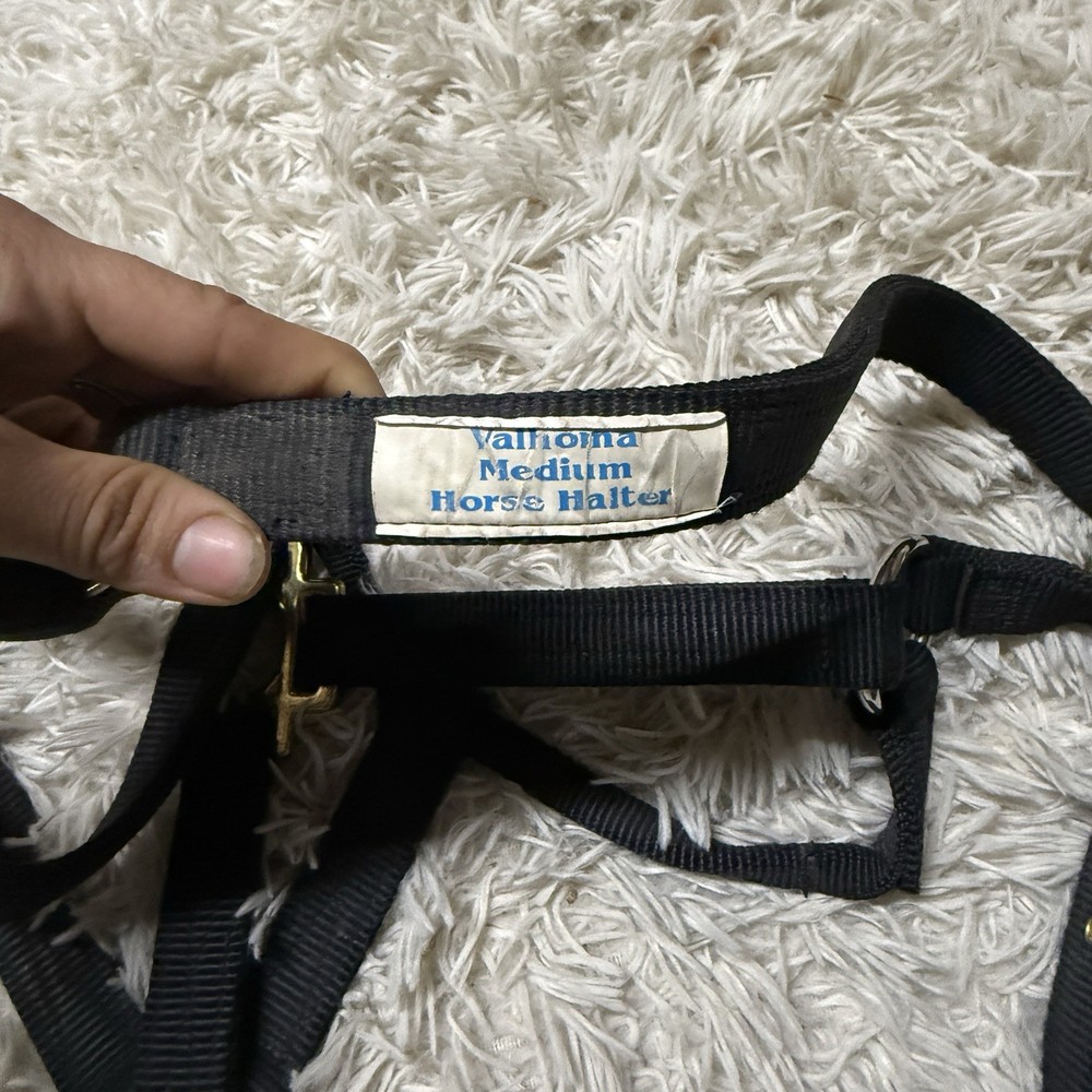 Medium Navy Nylon Horse Halter