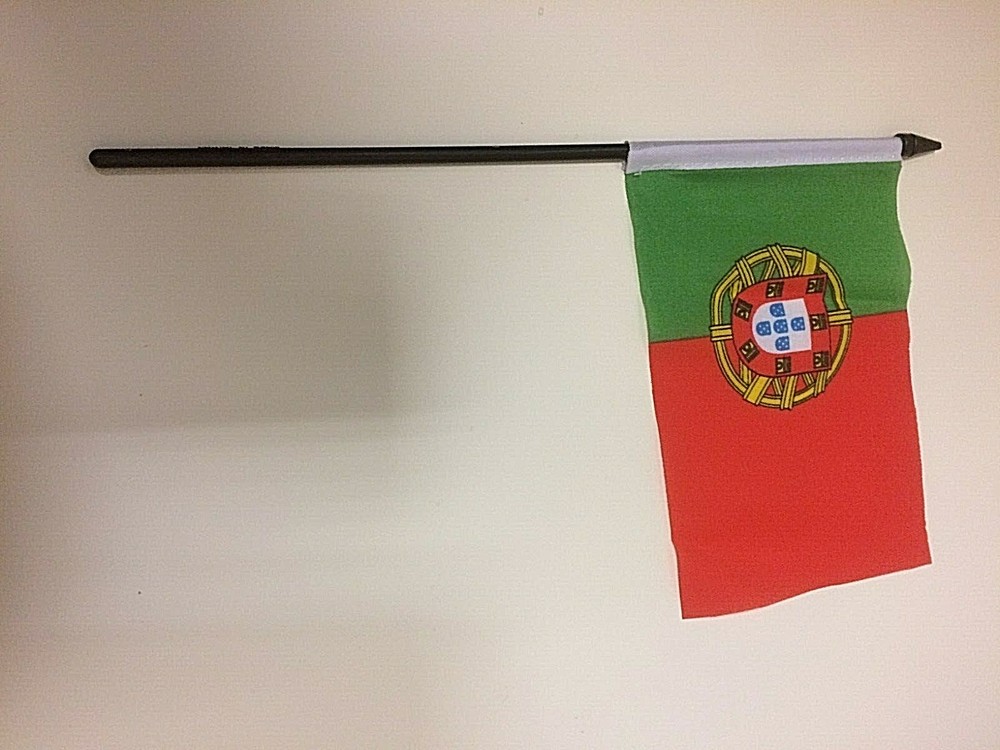New 4" x 6" and 6" x 9" Hand Held Flags