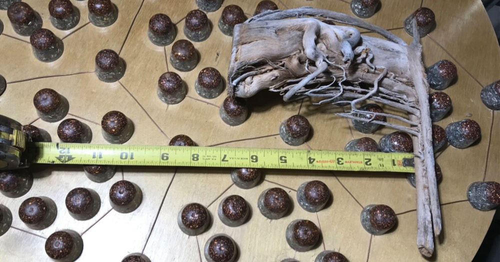 Saguaro Skeleton cactus wood Art