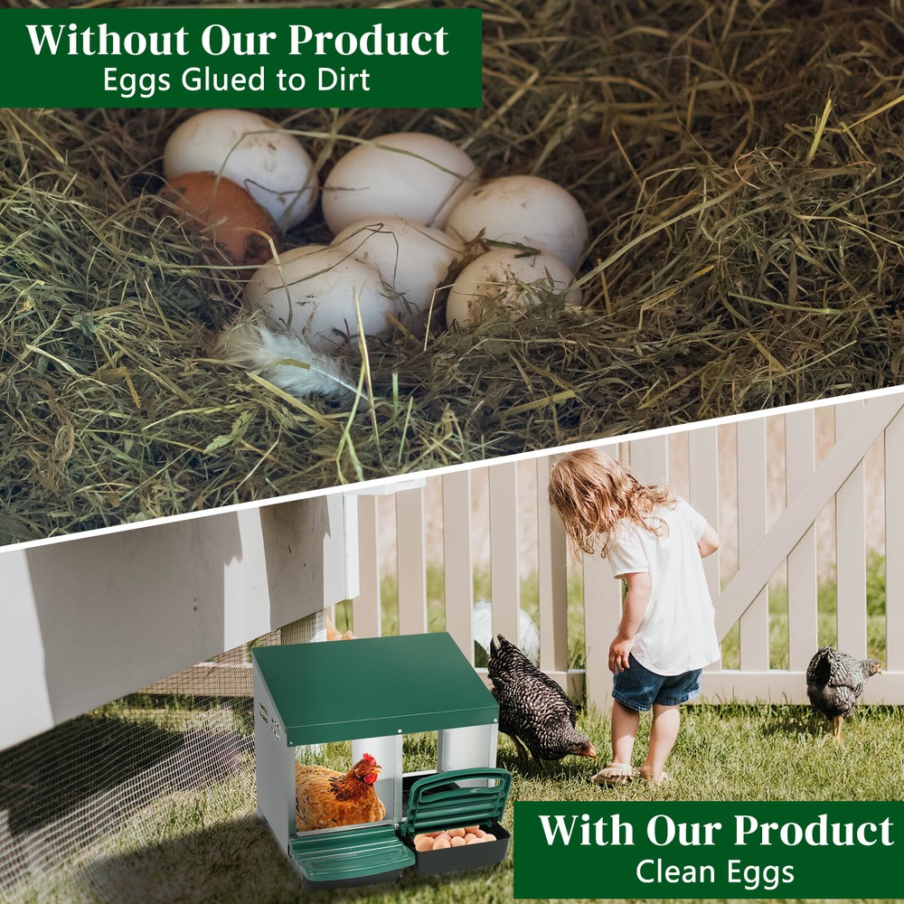 2 Compartment Roll Out Chicken Nesting Box W/ Plastic Basket Egg Nest Box Green