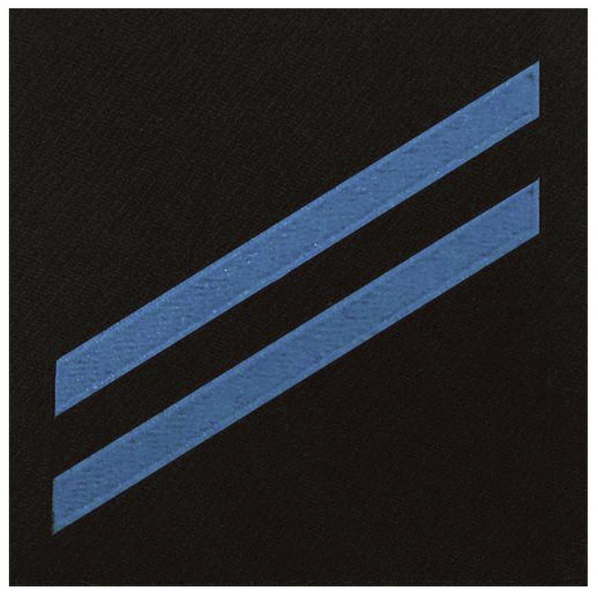 Vanguard NAVY E2 RATING BADGE: CONSTRUCTION APPRENTICE - BLUE