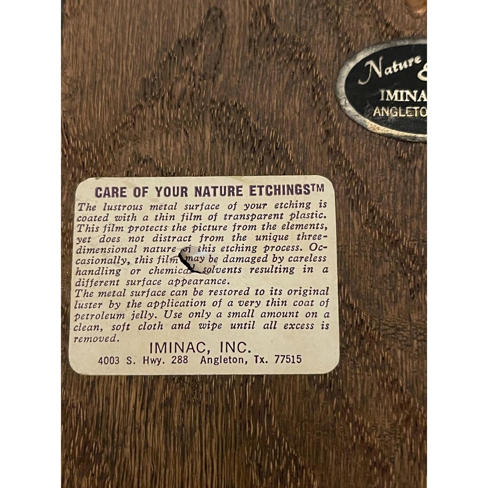 Nature Etchings - IMINAC Inc - Etched Rabbit/Bunny