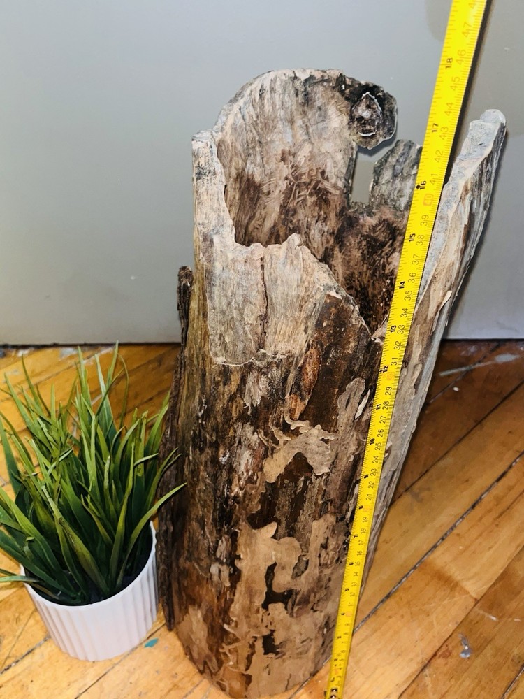 Beautiful Hollow Driftwood Aquarium Log
