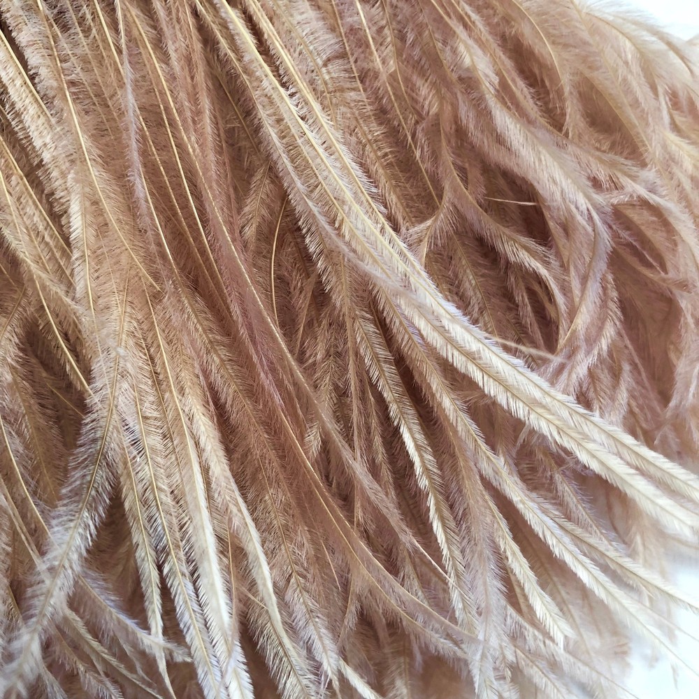 Ostrich Feathers Strung per 10cm - Latte