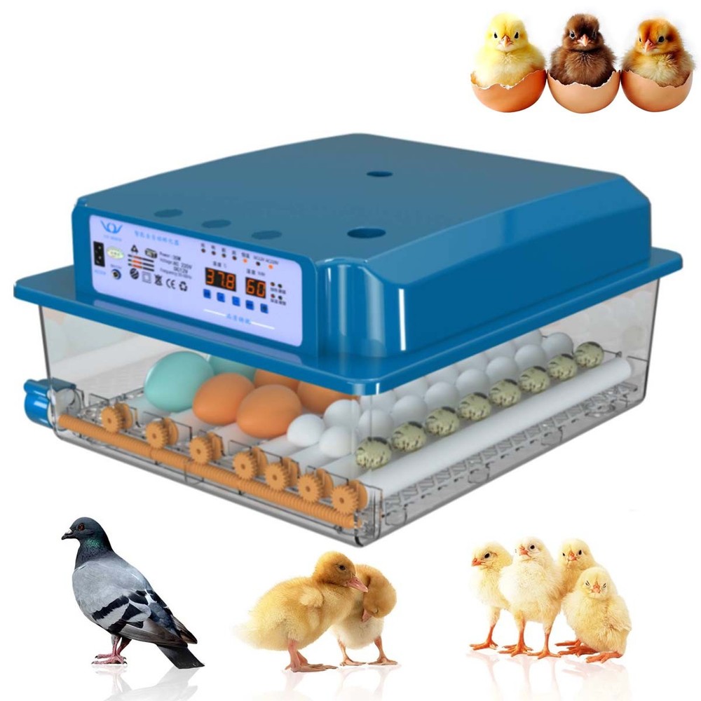 36 Egg Incubator with Auto-Turning,Temperature Humidity Control Egg Hatcher Bule