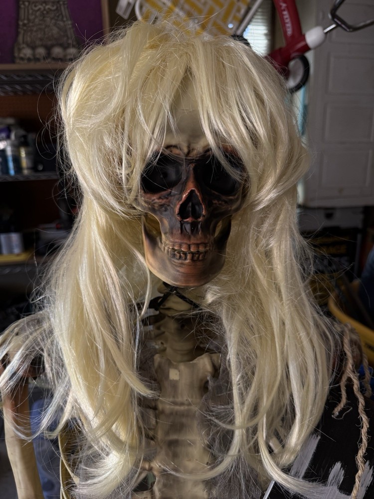 Halloween Wig $5