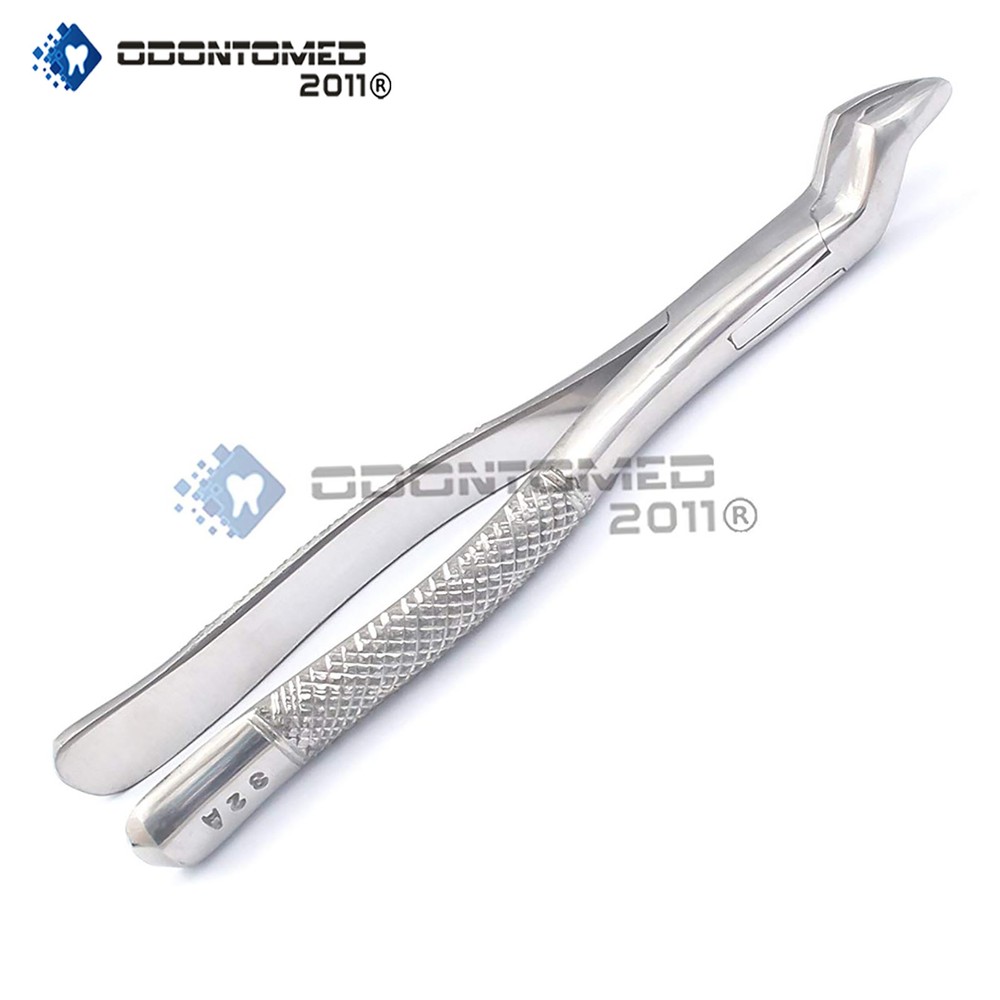 ODM Dental Tooth Extracting Forceps# 32a with Serrated Jaws