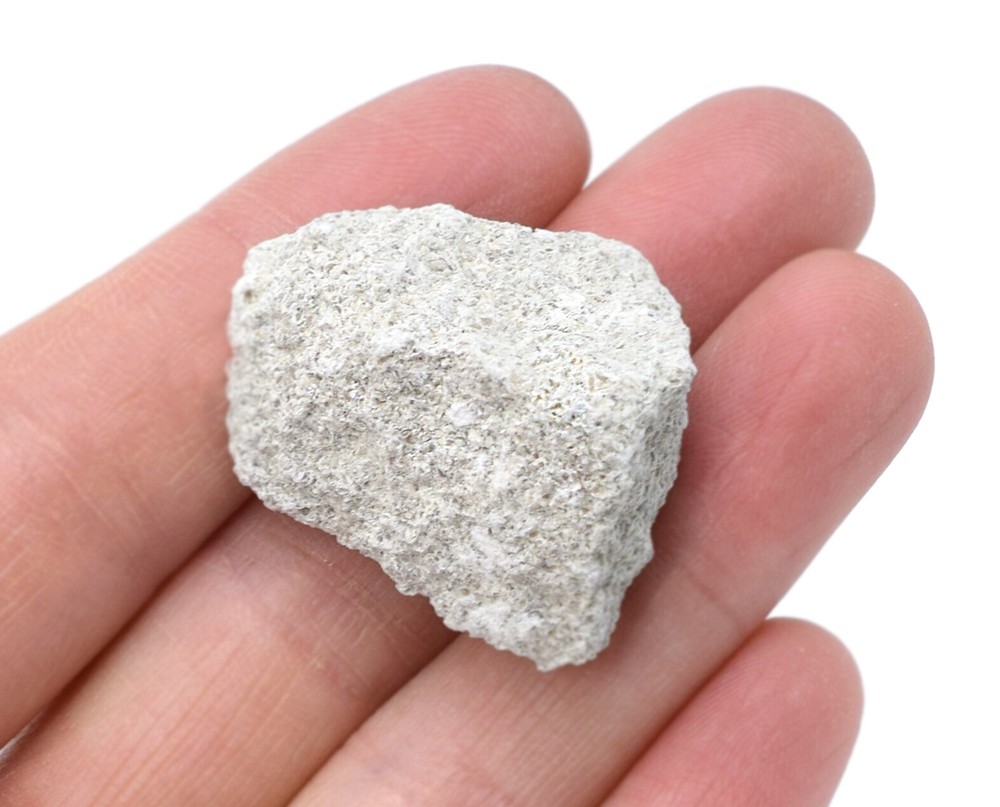 6PK Oolitic Limestone Rock Specimens, 1" - Geologist Selected - Eisco Labs