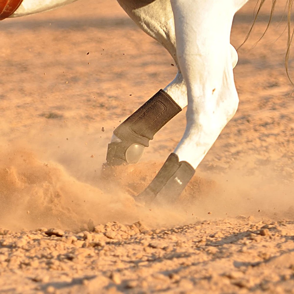 Classic Equine ProTech Hind Splint Boots
