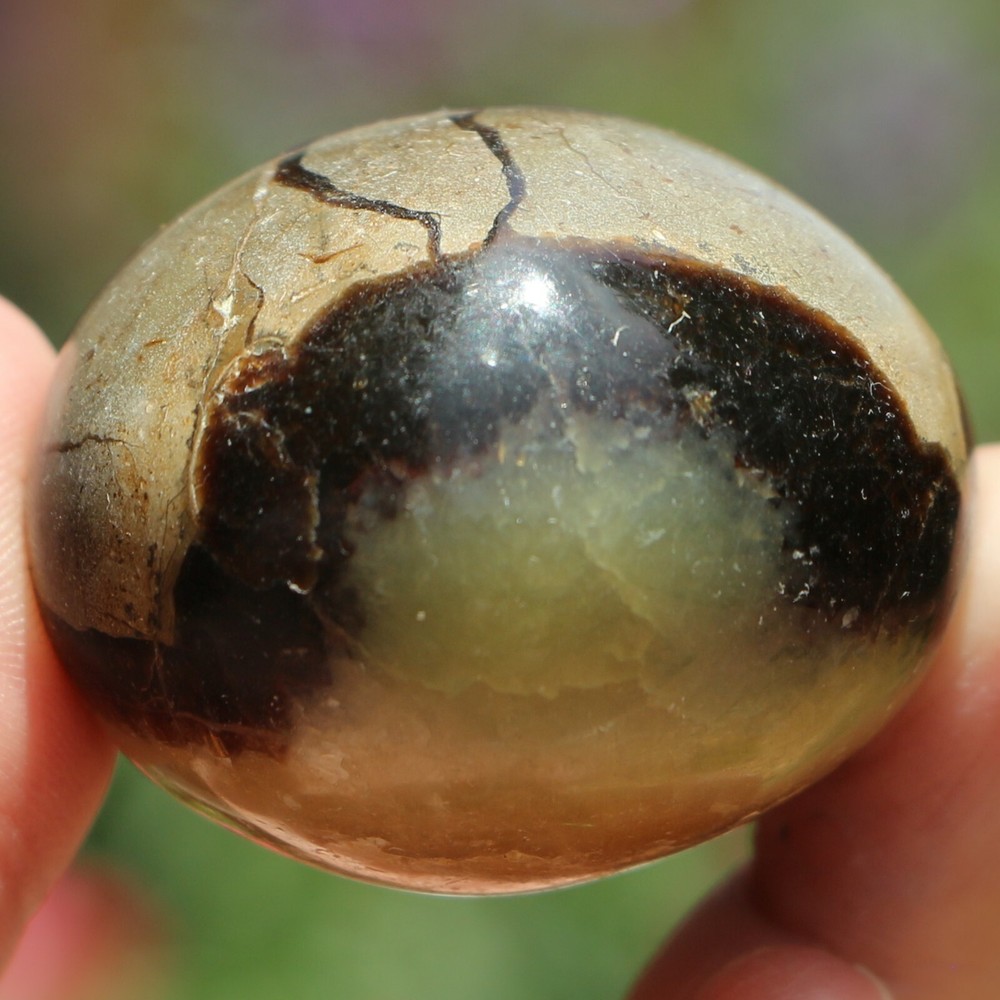 Polished Septarian Nodule (SEP98)
