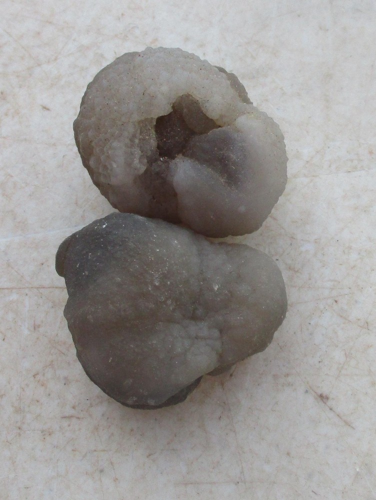 2 Fluorescent Chalcedony Flower Nodules for Mineral Specimens