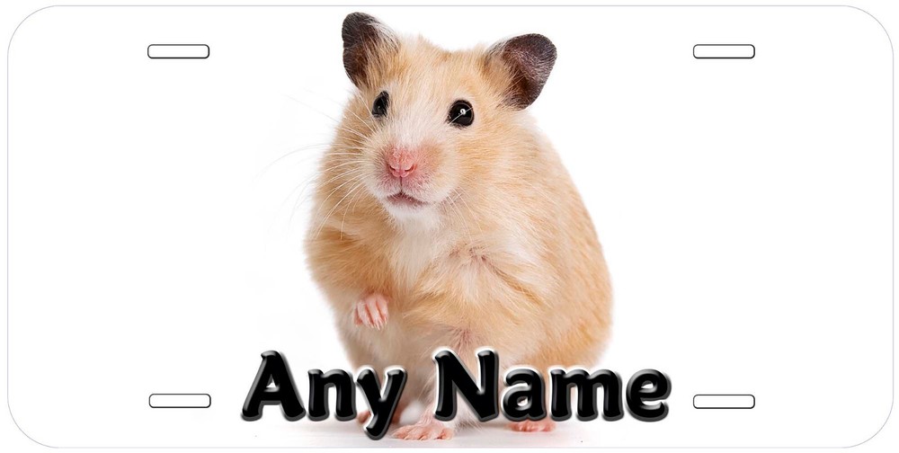 Hamster Any Name Personalized Novelty Car License Plate