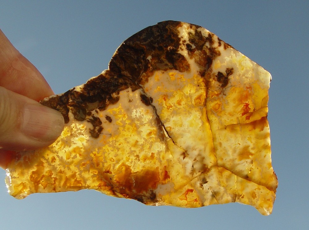 Graveyard Point Plume Agate Lapidary Slab T1026