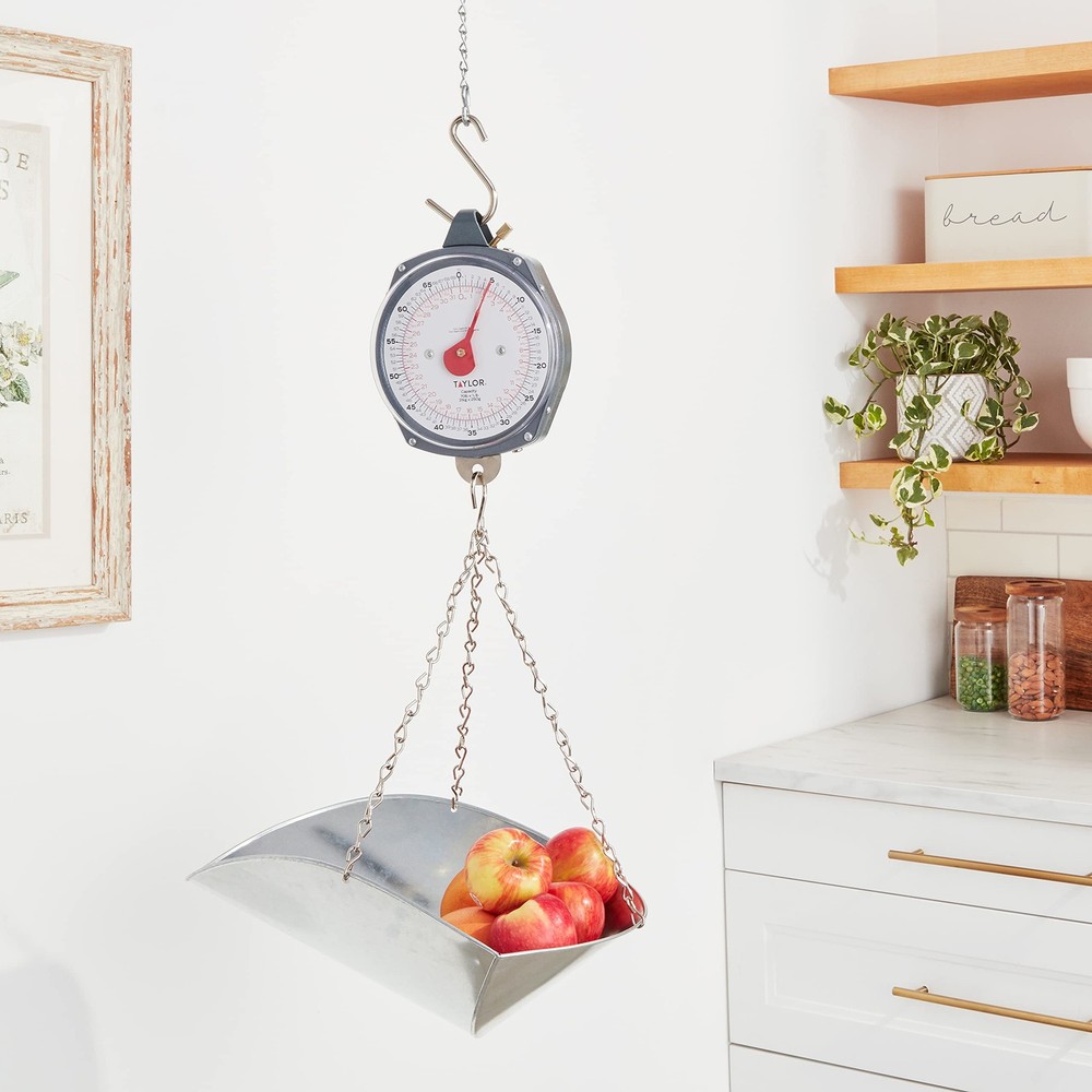 Dial Style 70-Pound Industrial Hanging Scale