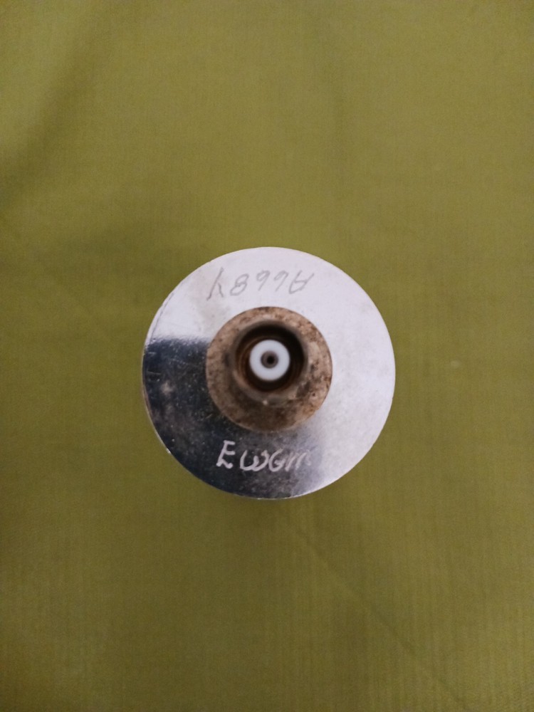 Bicron EWGM Probe