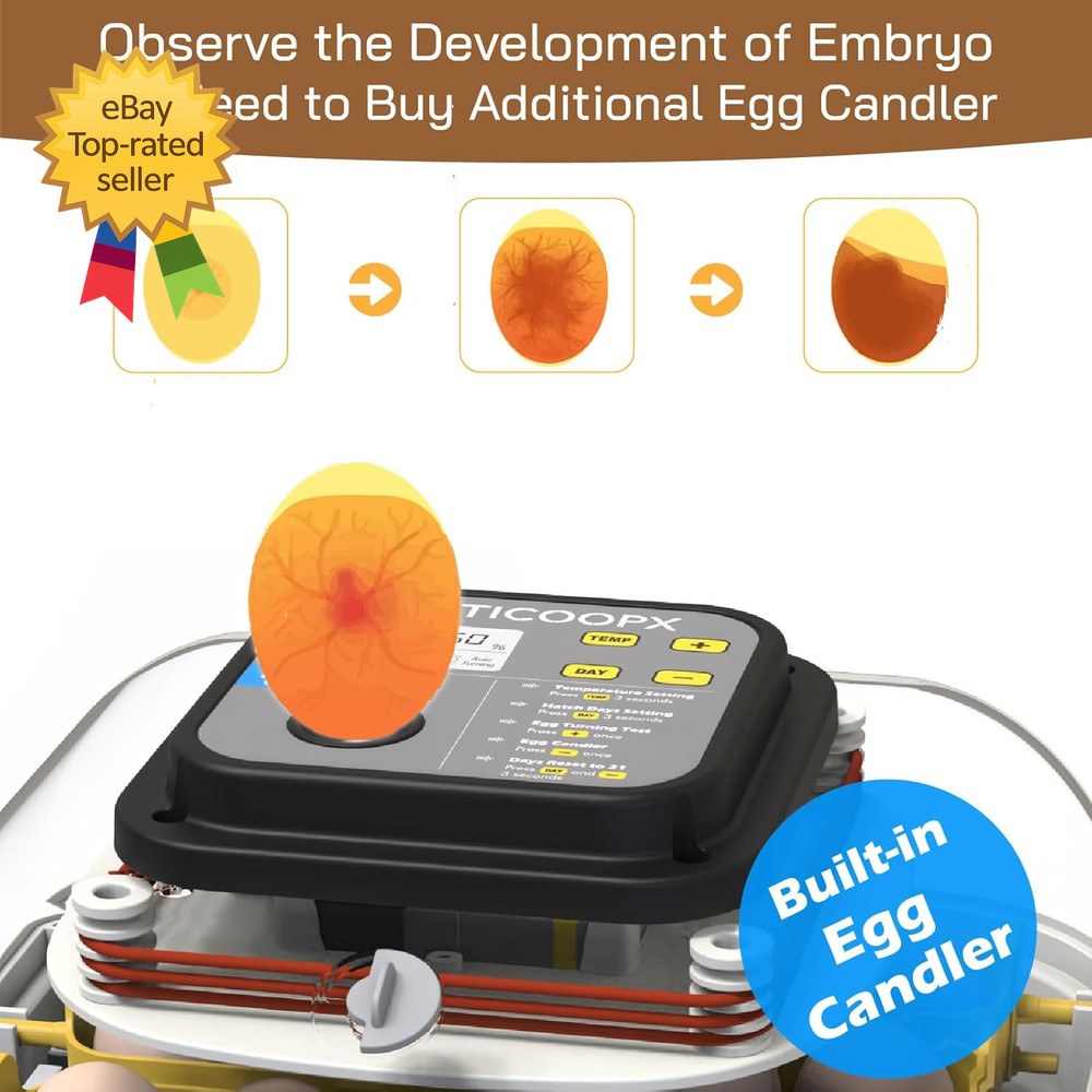 20 Egg Incubator with Humidity Display Egg Candler Automatic Egg Turner