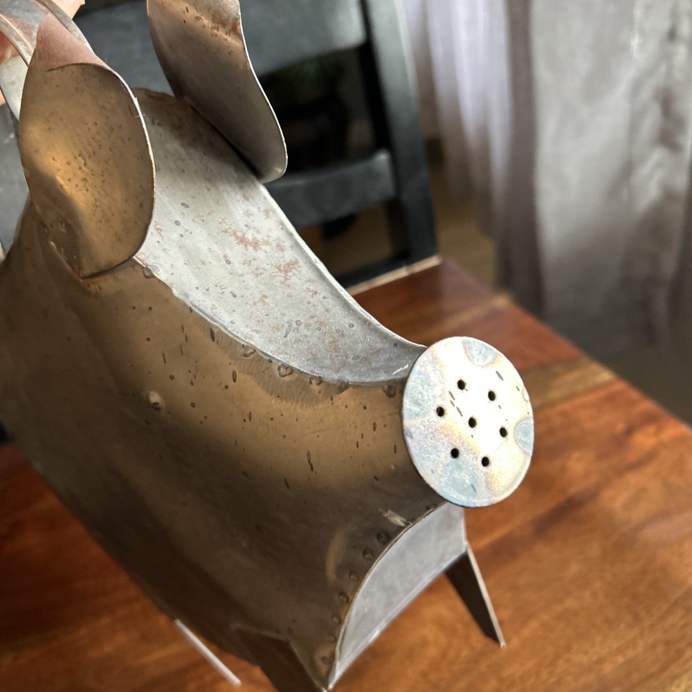 Rustic Wally The Pig Watering Can