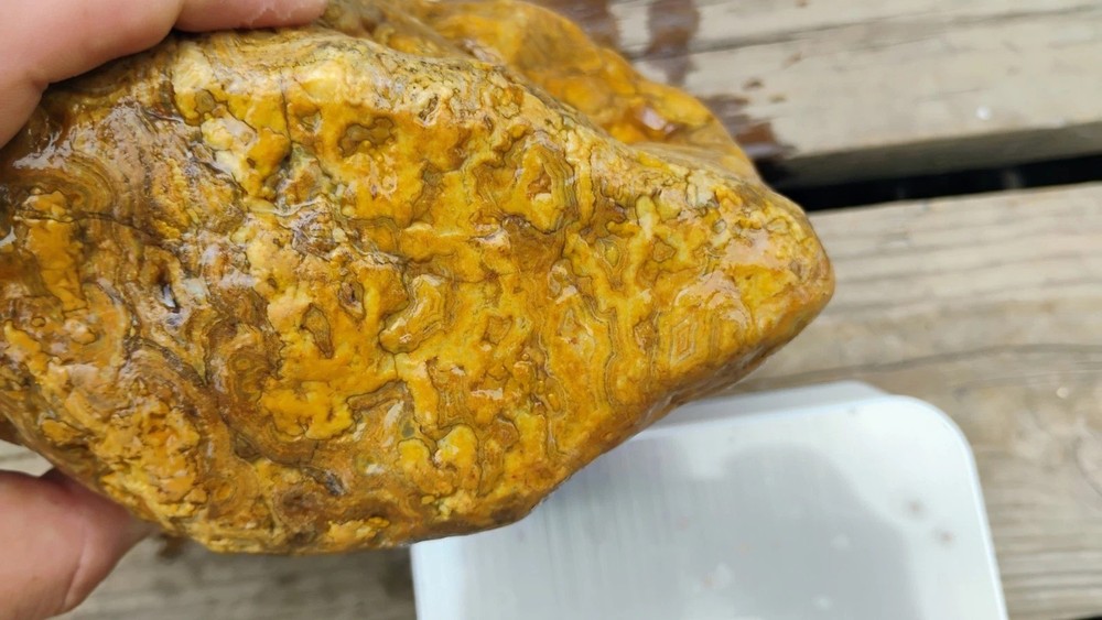 Large Solid Crowley Ridge Agates (2 Pieces) – Slabbing Material BULK