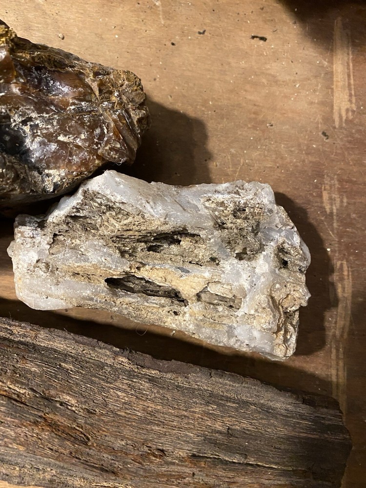 Petrified Wood Collection