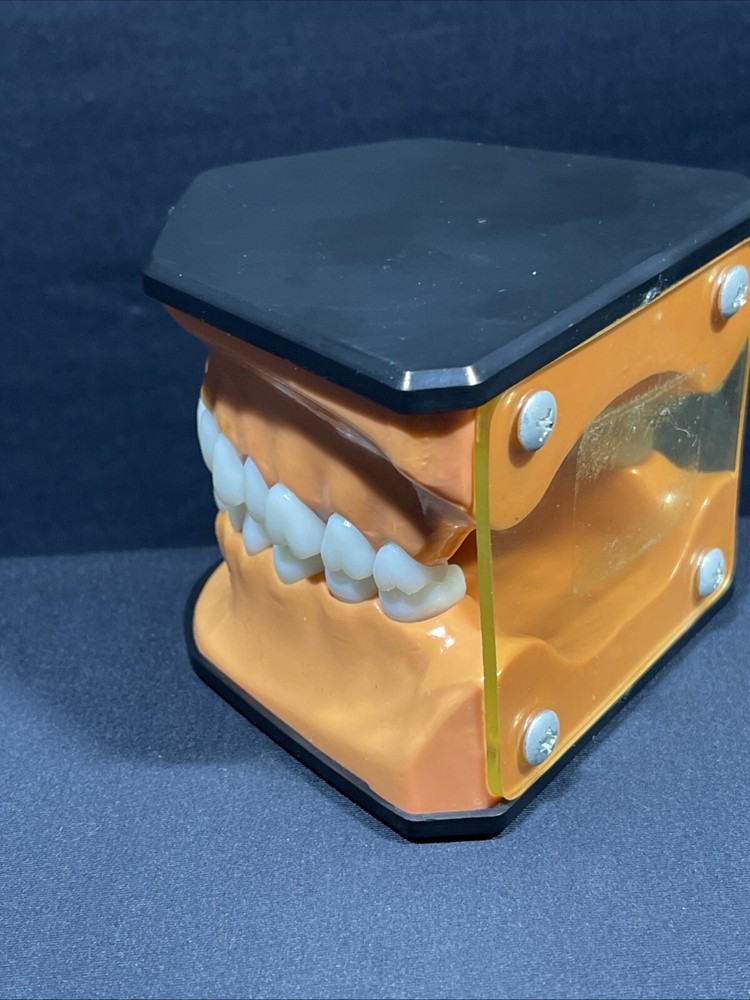Columbia Dental Form Teeth Dentistry