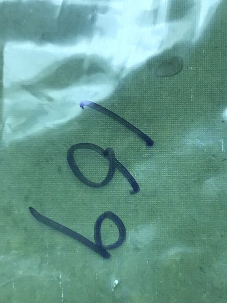 Major Cloth Insignia Collar Patch