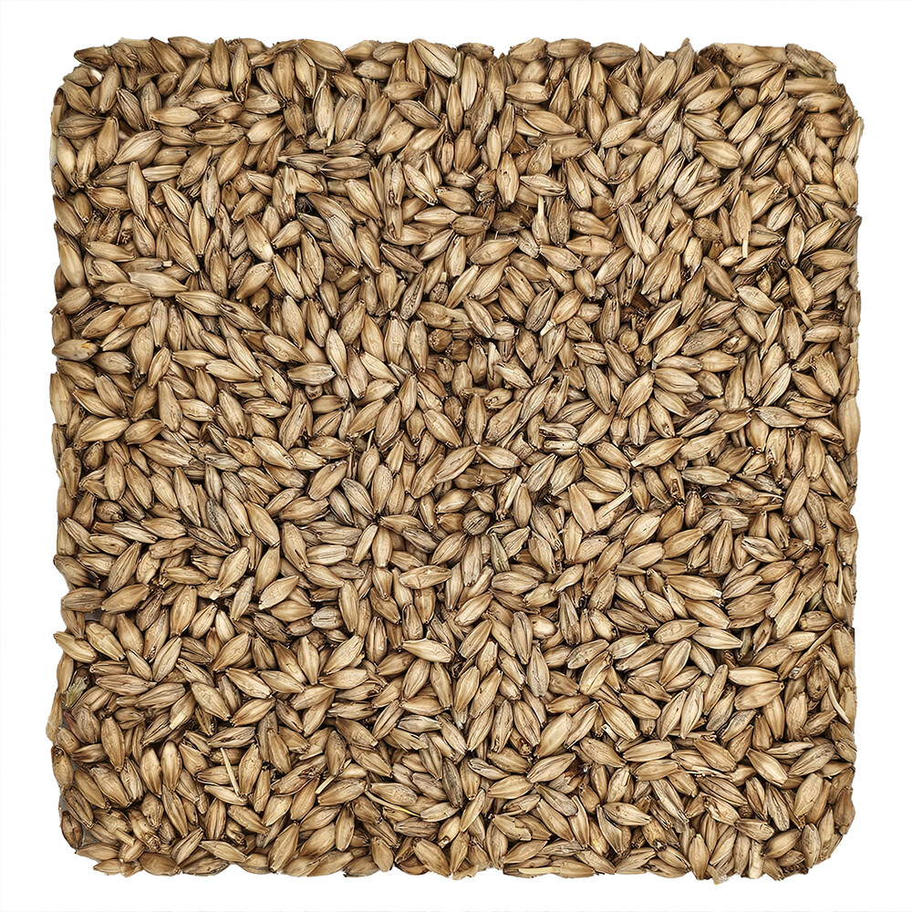 Home Brew Ohio Montana Pilsner Grain 55lb