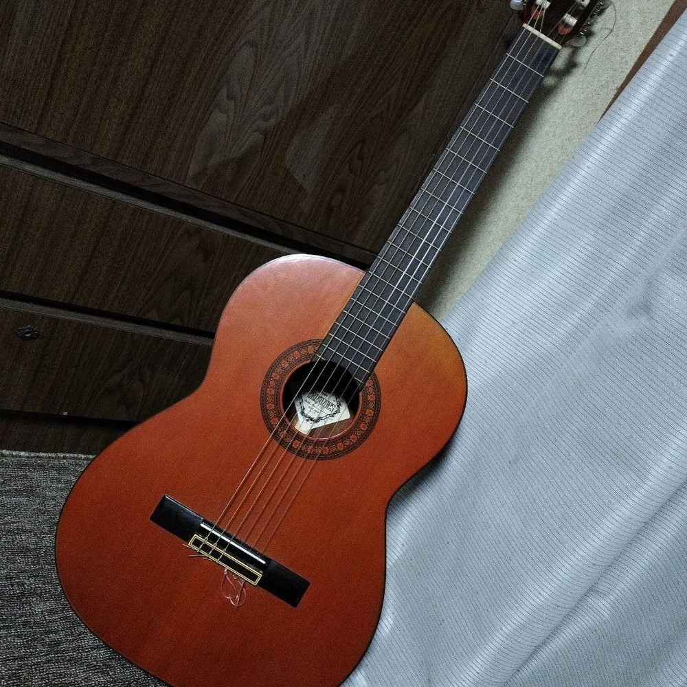 Fernandes Classical Guitar Model No. Brown Used