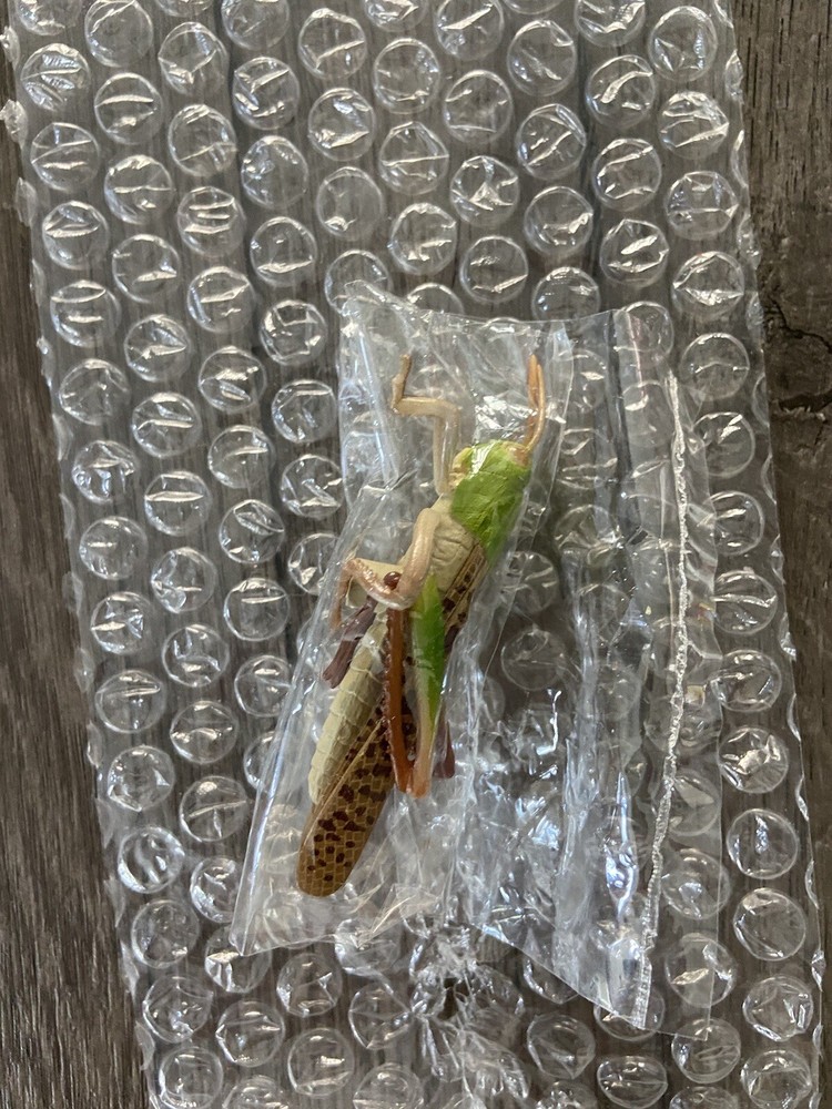 Bug Toys for Kids - 65 pk