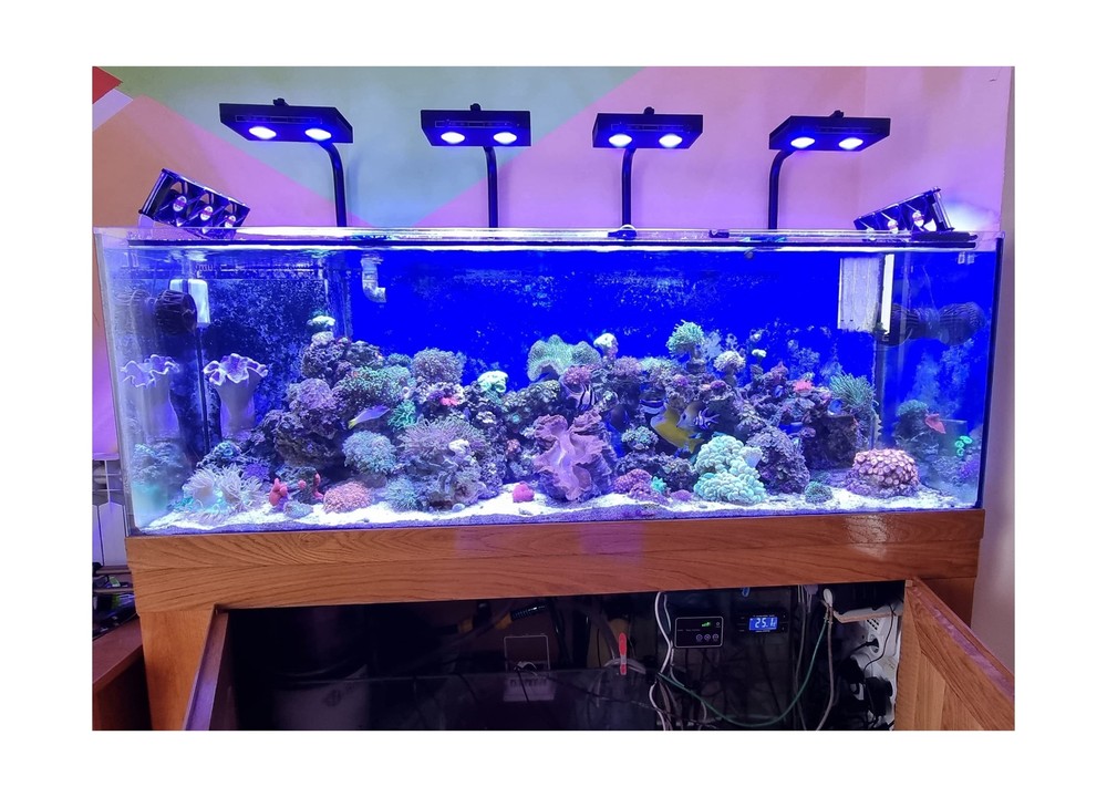 Aquarium Light - 95 Watt Sunrise Sunset Moonlight, Group Control Program Cora...