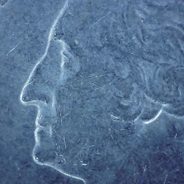 2018 P Quarter Apostle Island error die chip.