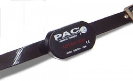 CS PAC AXC Digital Collar only for DXT or BXT series