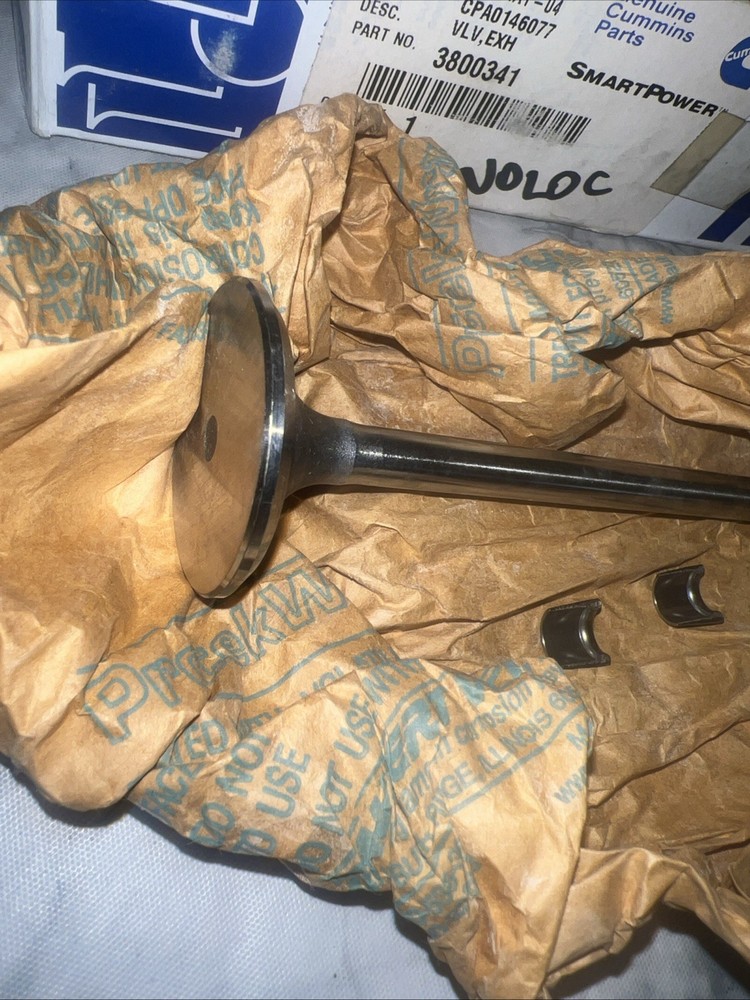 Cummins Exhaust Valve - 3800341
