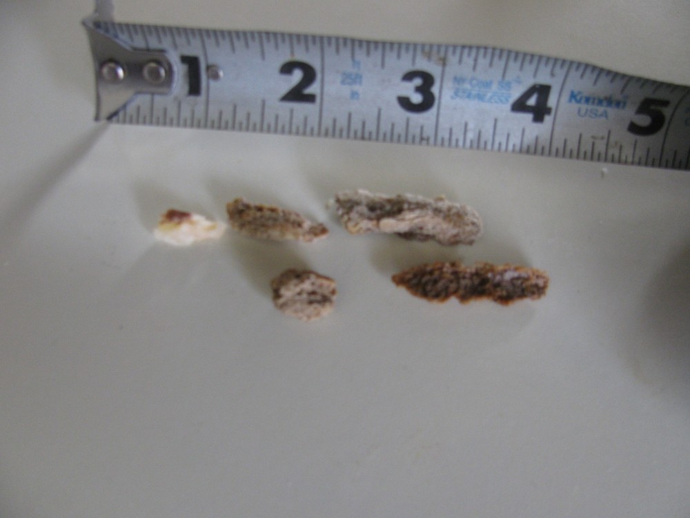 Brass Water Heater Drain Valve--LOOK at my insides!!!!